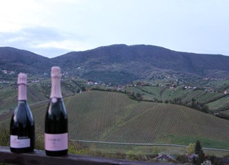 Prikupljeno pet tisuća kuna za malu Luciju na Humanitarnom kolu Bubbles lige!