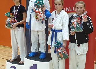 15. KUP SV. NIKOLA: Dva zlata i šest bronci za Karate Klub Jastreb