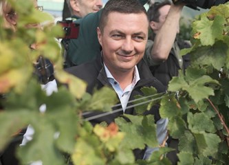 Diplomatska berba se vratila: Predsjednik Milanović i veleposlanici brali grožđe na Plešivici