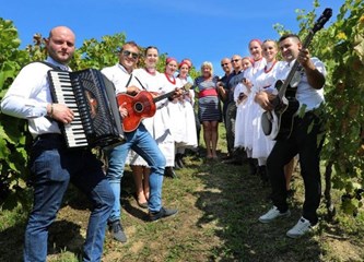 FOTO Berba portugisca na Plešivici: „Manji urod dao vrhunsko grožđe, imat ćemo fina vina!“