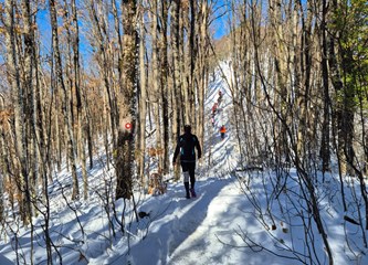 Tilčeki briljirali na Papuk Trail-u: Snijeg stvorio bajkovitu atmosferu