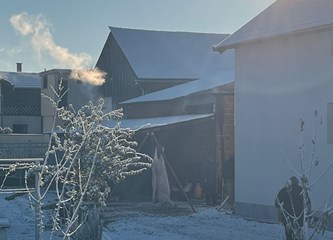 Tilčeki briljirali na Papuk Trail-u: Snijeg stvorio bajkovitu atmosferu