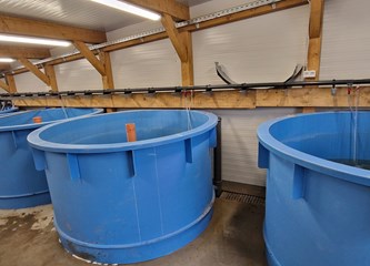 U Velikoj Gorici otvoreno prvo zeleno mrijestilište u Hrvatskoj