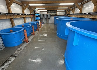 U Velikoj Gorici otvoreno prvo zeleno mrijestilište u Hrvatskoj